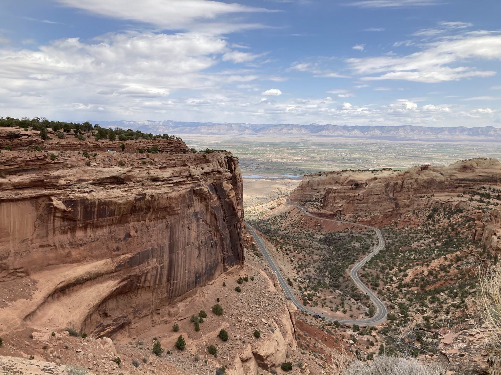 The Rise of Outdoor Cannabis: Why Nature Lovers Are Lighting Up